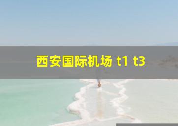 西安国际机场 t1 t3